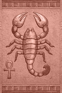 Collection 5 Card 10