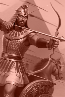 Collection 4 Card 10